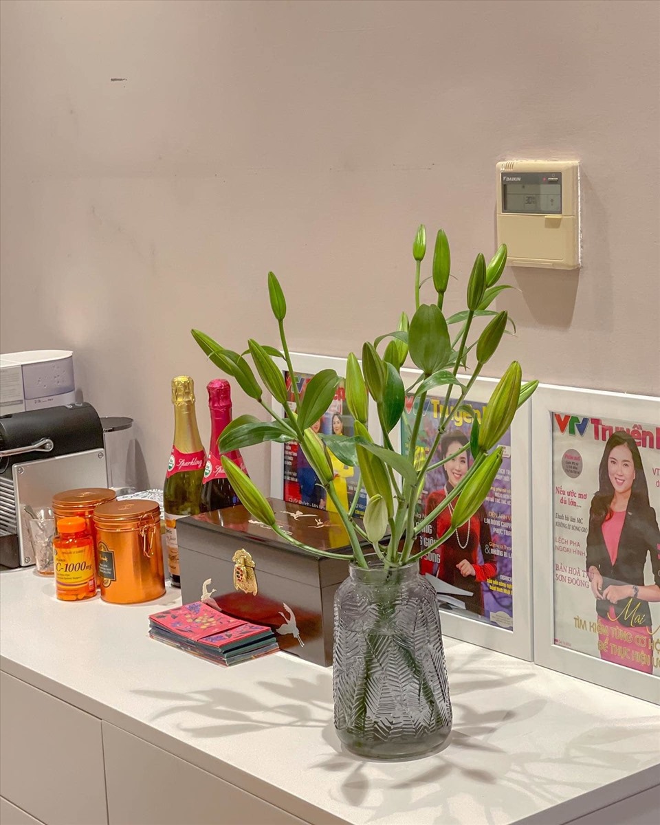 Đột ngột thông báo ly hôn, MC Mai Ngọc khẳng định sự nỗ lực không ngừng, cô từng chia sẻ về những căn nhà nào?-12