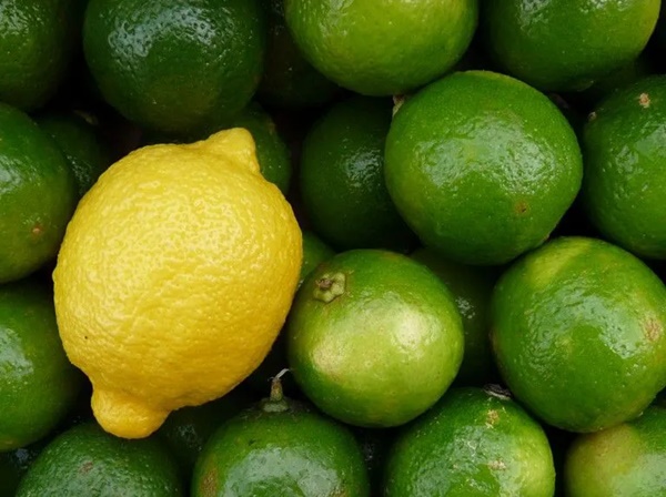 1 loại quả chua chát giá rẻ bèo ở chợ Việt nhưng tốt ngang nhân sâm, tổ yến: Vừa hạ đường huyết, vừa cải lão hoàn đồng hiệu quả-1