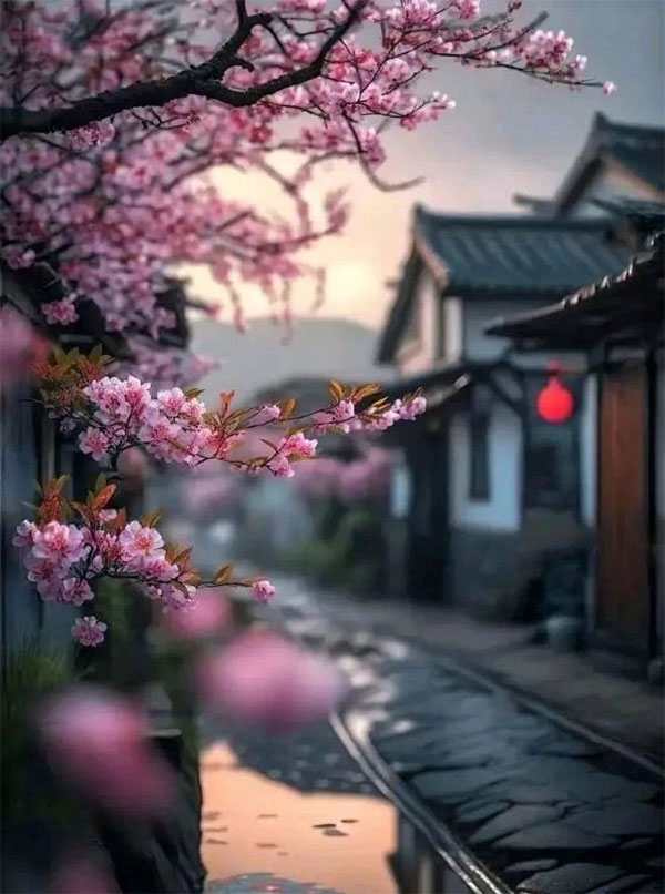 Tháng 4 rực rỡ: 4 con giáp bước vào thời kỳ vàng, kinh doanh khởi sắc, biến nghèo khó thành quá khứ-2