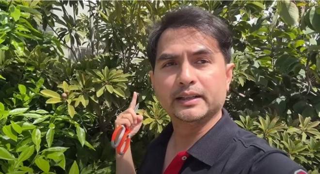 Nhà 16 tỷ đồng của Đức Tiến ở Mỹ: Vườn cây triệu người mê và cục đá đặc biệt nặng 300 kg-6