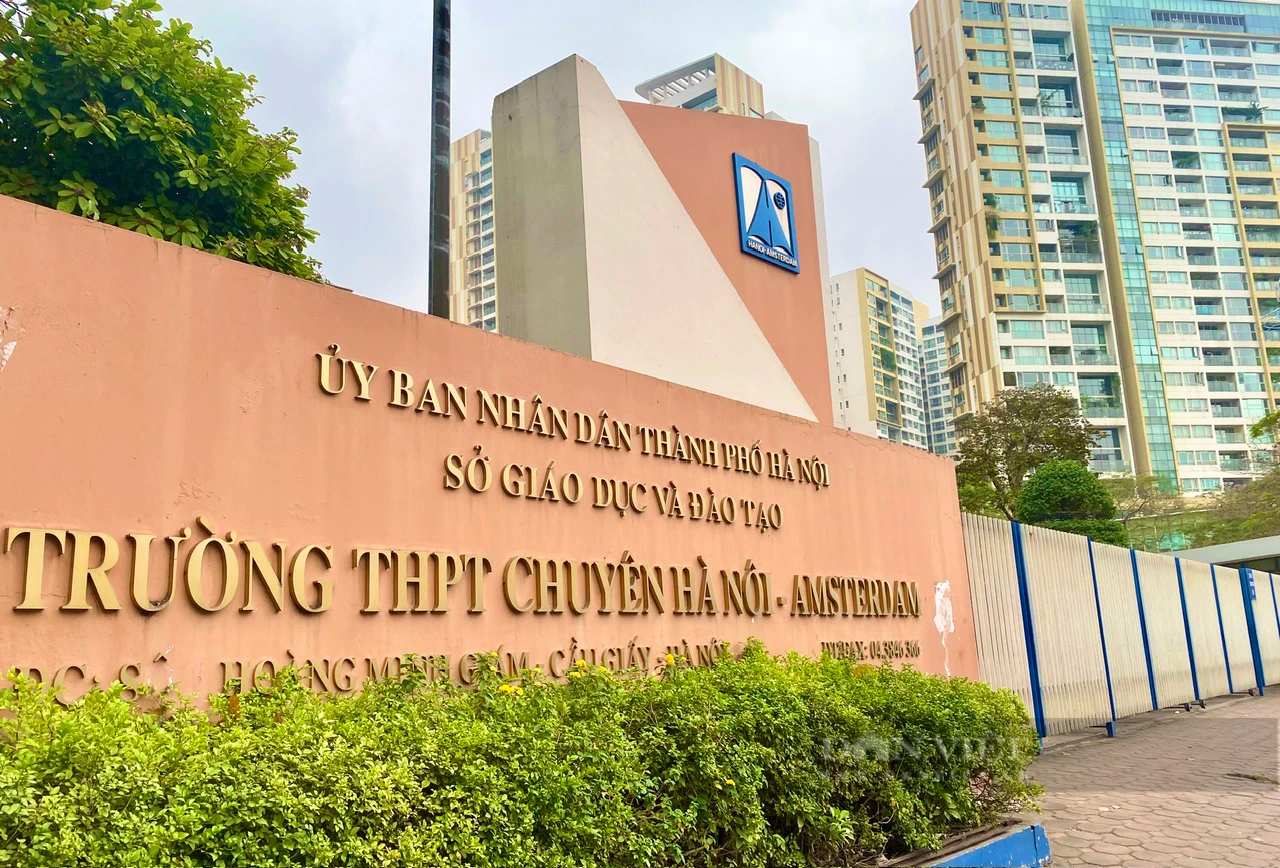 Dừng tuyển sinh lớp 6 vào Chuyên Hà Nội - Amsterdam: Đừng đặt quá nhiều kỳ vọng lên vai đứa trẻ tiểu học-2