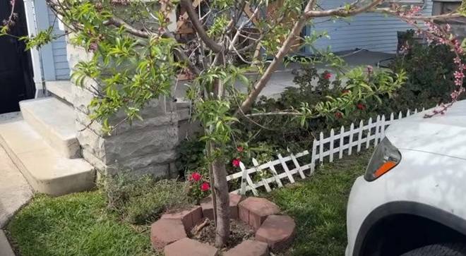 Nhà 16 tỷ đồng của Đức Tiến ở Mỹ: Vườn cây triệu người mê và cục đá đặc biệt nặng 300 kg-29