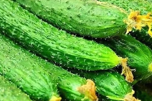 Bật mí cách làm sạch mực, bạch tuộc cực nhanh gọn và đơn giản-3