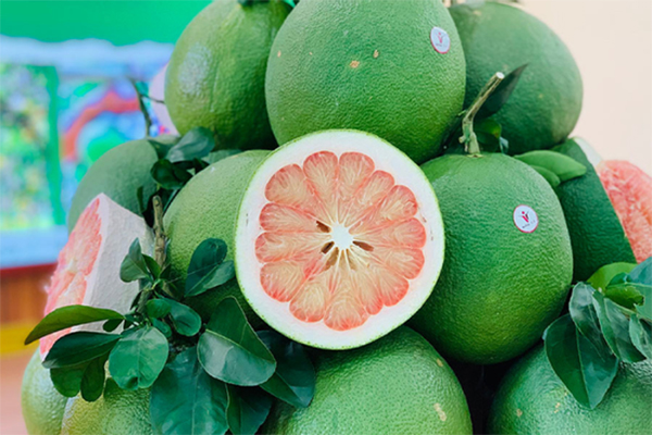 Hành trình chi tiền tỷ sang Nhật Bản để chữa ung thư không đau-4