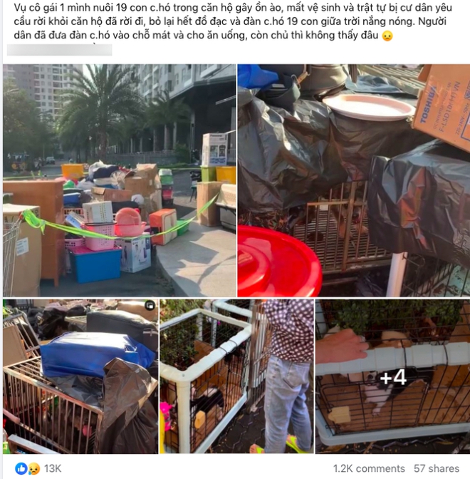 Cô gái nuôi 19 con chó bị cư dân đuổi khỏi chung cư ở TP.HCM lên tiếng: Tôi biết tôi sai rồi, nhưng tôi cũng mệt lắm!-1