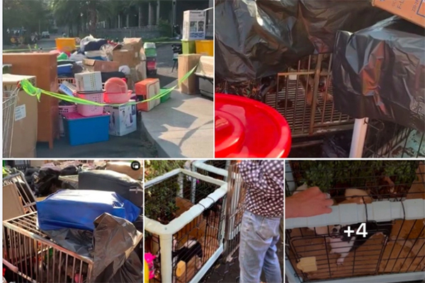 Kiến trúc sư cho biết: Dù tòa nhà cao bao nhiêu thì ba tầng này đều là tầng vàng!-3