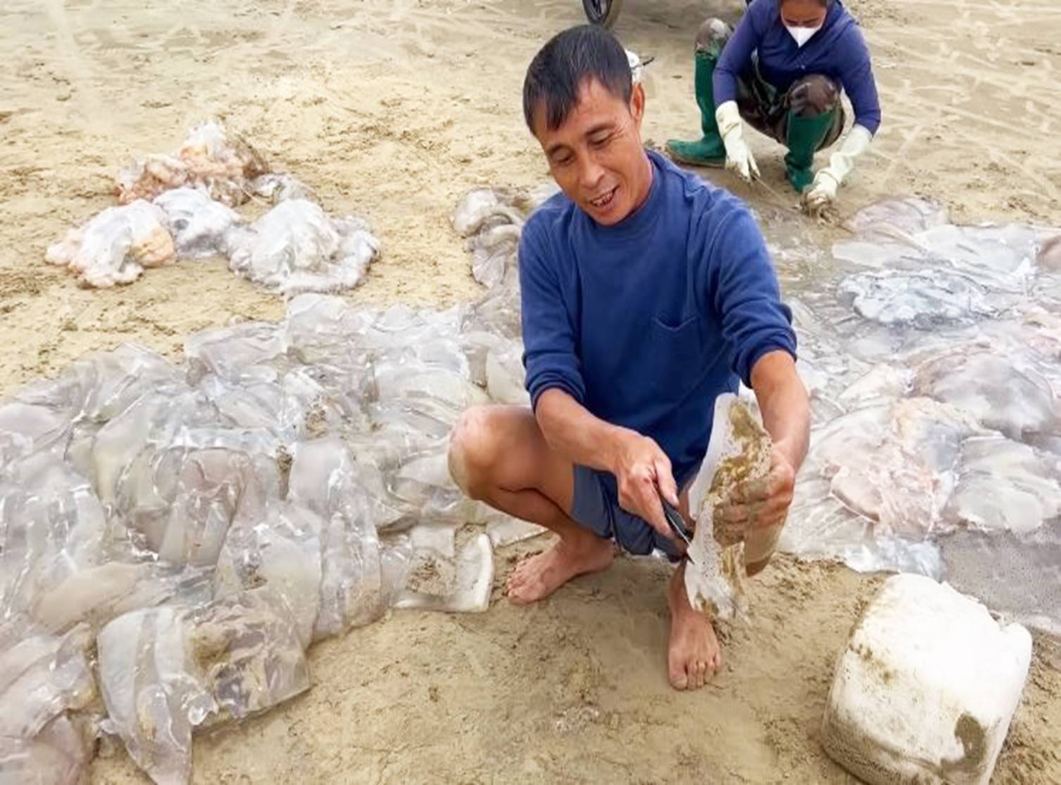 Ngư dân cắt nhỏ sứa trộn với cát biển, dân tình phẫn nộ vì mất vệ sinh, nghe giải thích mới ngỡ ngàng-5