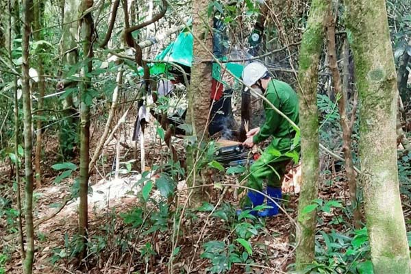 Bông hồng đất Bắc thành nữ hoàng vũ trường Sài Gòn xưa và vụ đánh ghen chấn động-3