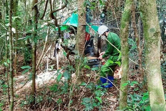 Người phụ nữ đơn thân tử vong bất thường trong rừng, để lại 2 con nhỏ