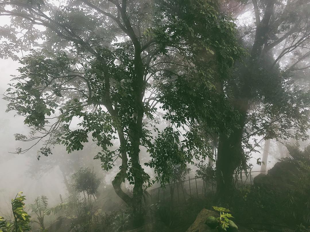 Biệt thự Tam Đảo - nơi hơn 1 năm trước được đồn là địa điểm tổ chức đám hỏi của Hoàng Thùy Linh và Đen Vâu-14