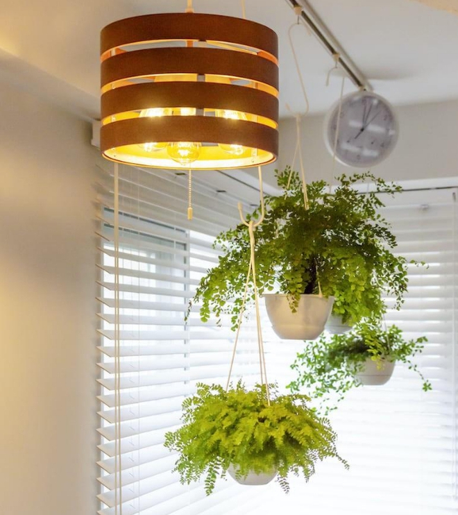 Thanh niên 25 tuổi cuồng sạch sẽ, một ngày dọn nhà 80 lần, netizen bình luận: Ai lấy anh này phúc 7 đời!-12