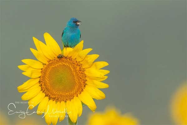 Sau Tết Thanh minh, 4 con giáp làm ăn phát đạt, kiếm tiền dễ dàng, cuộc sống bớt căng thẳng-1