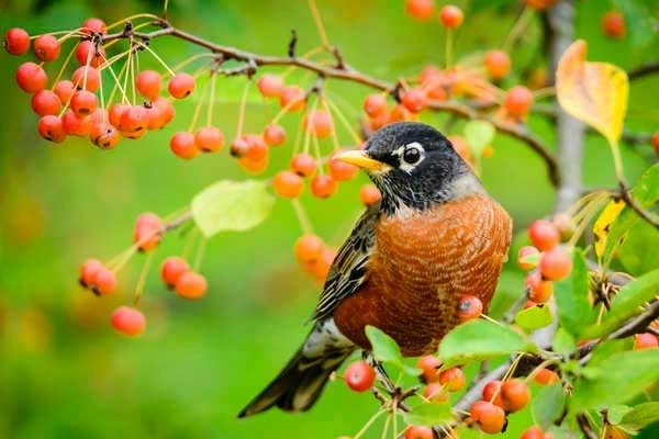 Sau Tết Thanh minh, 4 con giáp làm ăn phát đạt, kiếm tiền dễ dàng, cuộc sống bớt căng thẳng-3