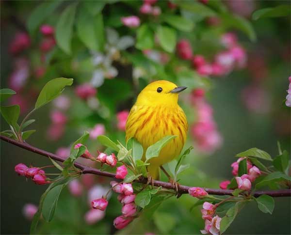Sau Tết Thanh minh, 4 con giáp làm ăn phát đạt, kiếm tiền dễ dàng, cuộc sống bớt căng thẳng-4