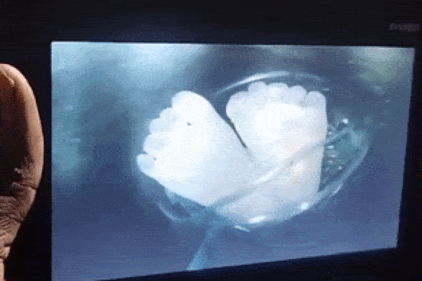 Đứa trẻ 6 tháng tuổi bò lổm ngổm trong đêm mưa được người đi đường giải cứu-1