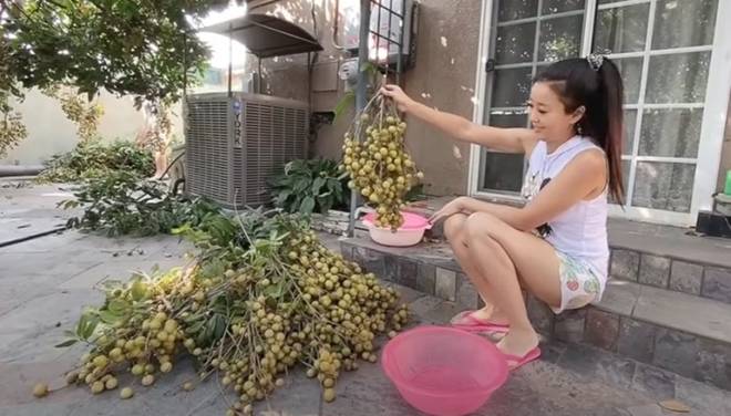 Danh hài khét tiếng bị đồn có 10 biệt thự, cơ ngơi mới 45 tỷ đồng bên Mỹ gây choáng ngợp-15