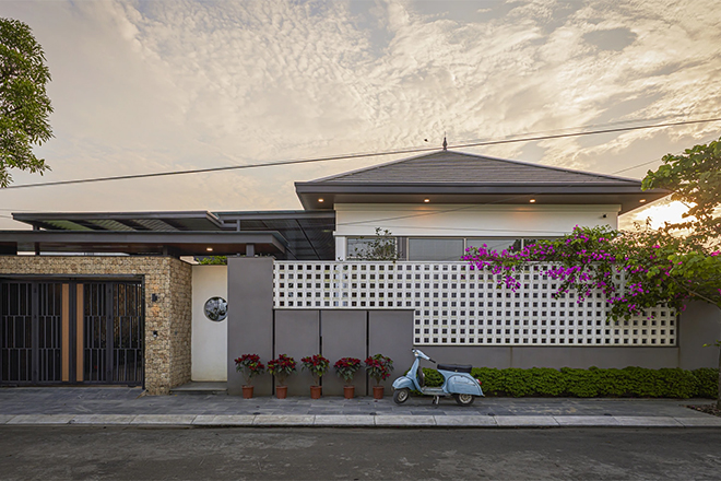 Cây cảnh may mắn, chuỗi đá quý đổi màu theo ánh nắng, như treo bùa chiêu tài, gọi lộc trong nhà-2