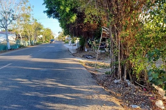 Người đàn ông xin khai thác