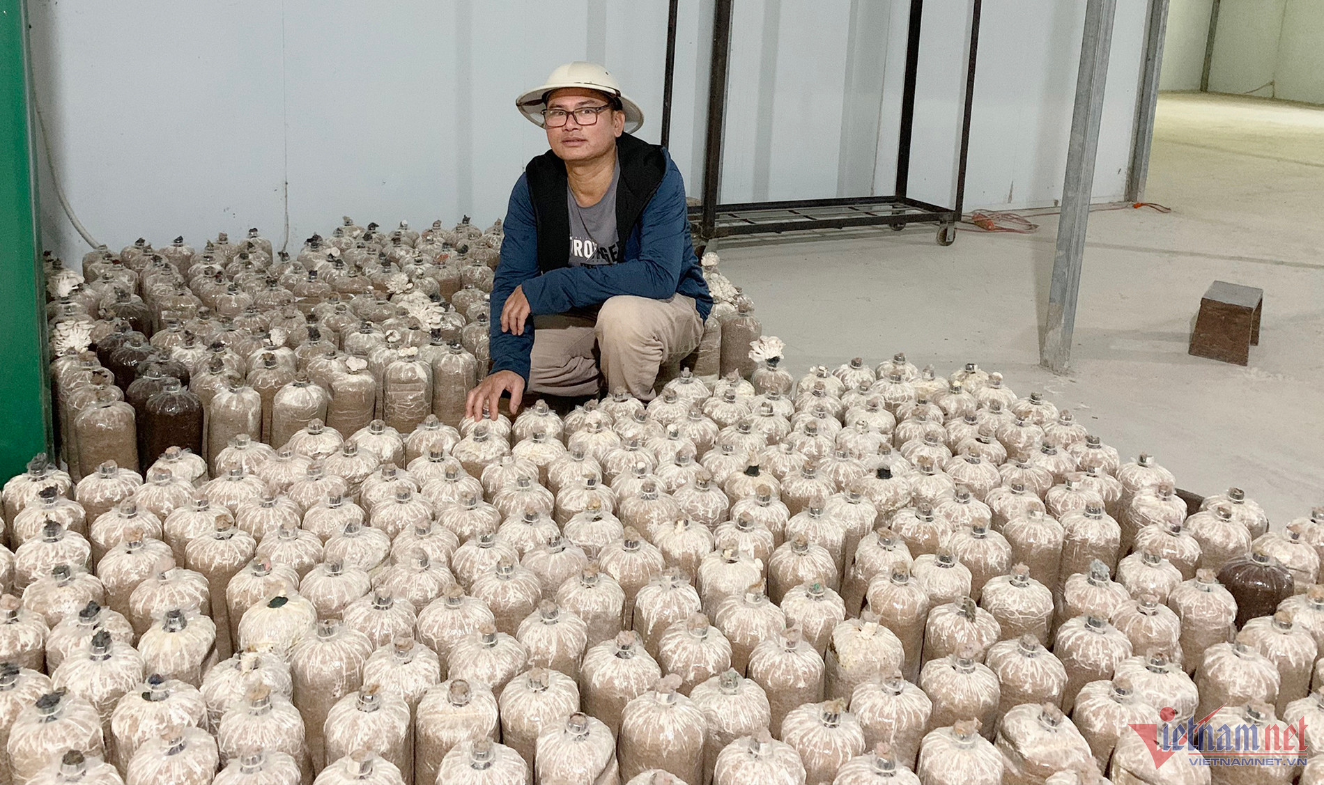 Quyết làm lại sau 10 năm xuất ngoại, anh nông dân thu nửa tỷ từ nấm bào ngư-2