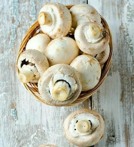 10 thực phẩm là thuốc chống ung thư tự nhiên, vào bếp tìm là thấy, chợ Việt có tất cả, giá lại rẻ bèo-3