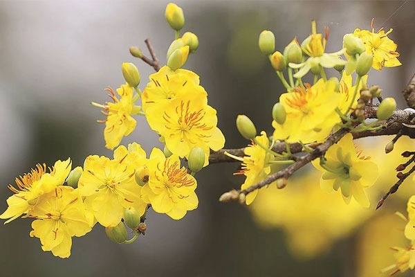 Ai sinh ngày Âm lịch này được Thần Tài ban lộc, cả năm trúng vận đỏ, mọi sự thuận buồm xuôi gió-2