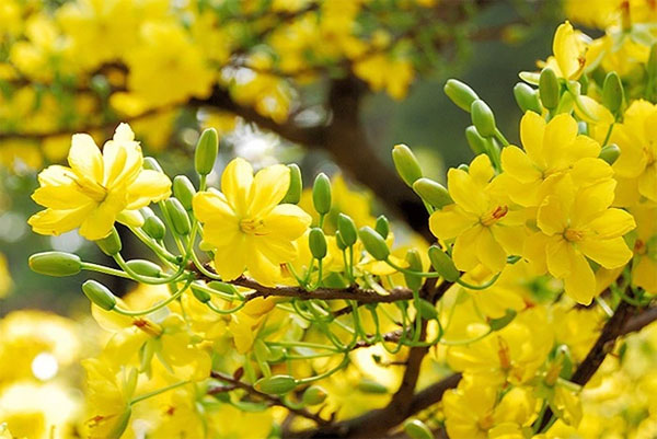 Ai sinh ngày Âm lịch này được Thần Tài ban lộc, cả năm trúng vận đỏ, mọi sự thuận buồm xuôi gió-3