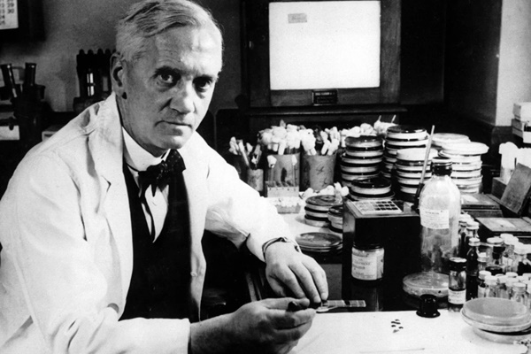 Tìm ra loại thuốc cứu cả trăm triệu người nhờ chiếc đĩa bẩn-1