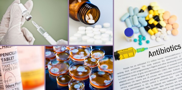 Tìm ra loại thuốc cứu cả trăm triệu người nhờ chiếc đĩa bẩn-2