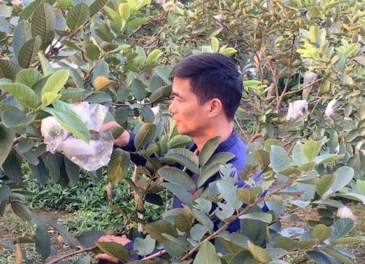 Lệ Rơi sau 10 năm gây bão mạng: Sống bình lặng làm nông dân, U40 ôm gối ngủ chờ tình yêu tới-6