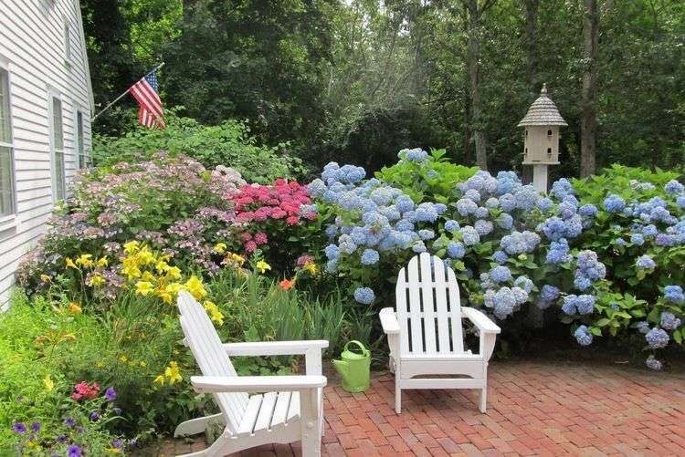 Trồng cây cảnh cô gái ngàn mặt, biển hoa khổng lồ, muôn màu rực rỡ, gia đình thịnh vượng, sung túc-8