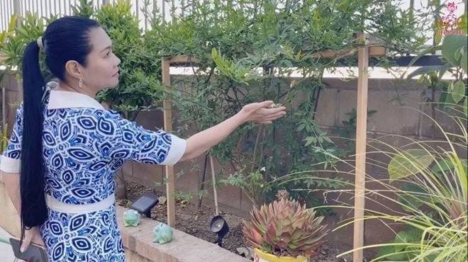 NSƯT Ngọc Huyền viên mãn tuổi U50, được mẹ chồng nổi tiếng tặng căn biệt thự 46 tỷ đồng tại Mỹ-5