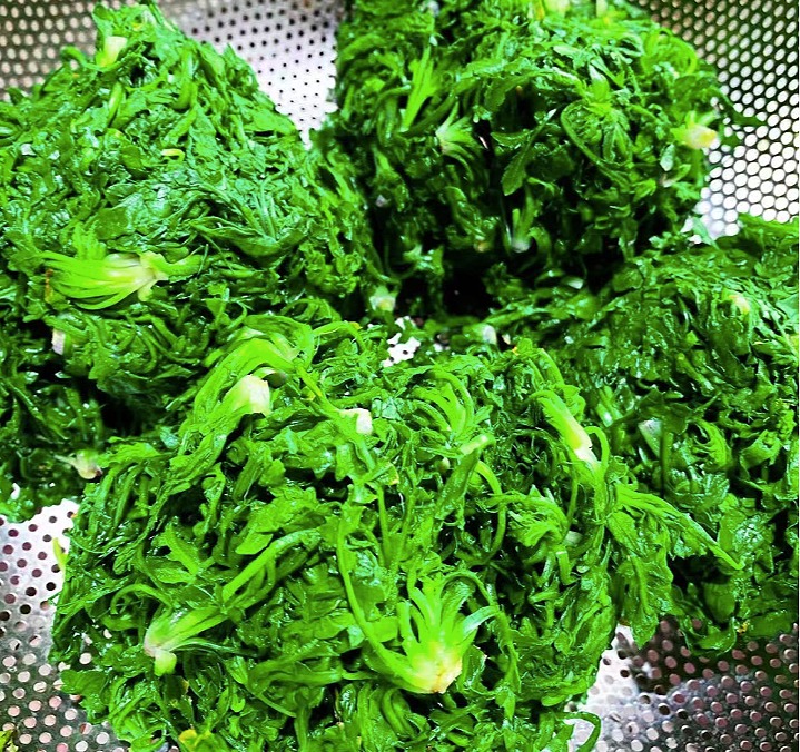 Tháng 3 Âm lịch, ăn loại rau dại này giúp cải thiện thị lực, tăng cường cơ bắp, làm sủi cảo cực ngon-5
