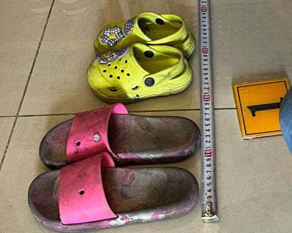 Chân dung mẹ mìn bắt cóc 2 bé gái ở TPHCM-3