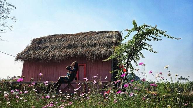 Nữ diễn viên miền Bắc có cơ ngơi xanh ngát, nhiều người nổi tiếng đến đều trầm trồ-8