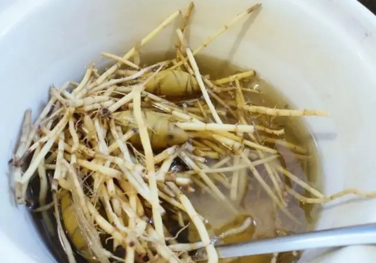 Thứ cỏ diệt mãi không hết, lấy rễ đem bán ai ngờ hốt bộn tiền-2