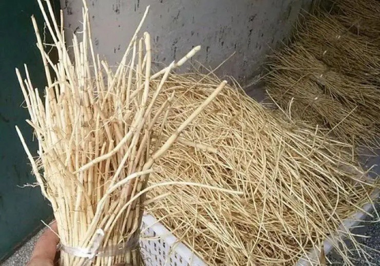 Thứ cỏ diệt mãi không hết, lấy rễ đem bán ai ngờ hốt bộn tiền-3