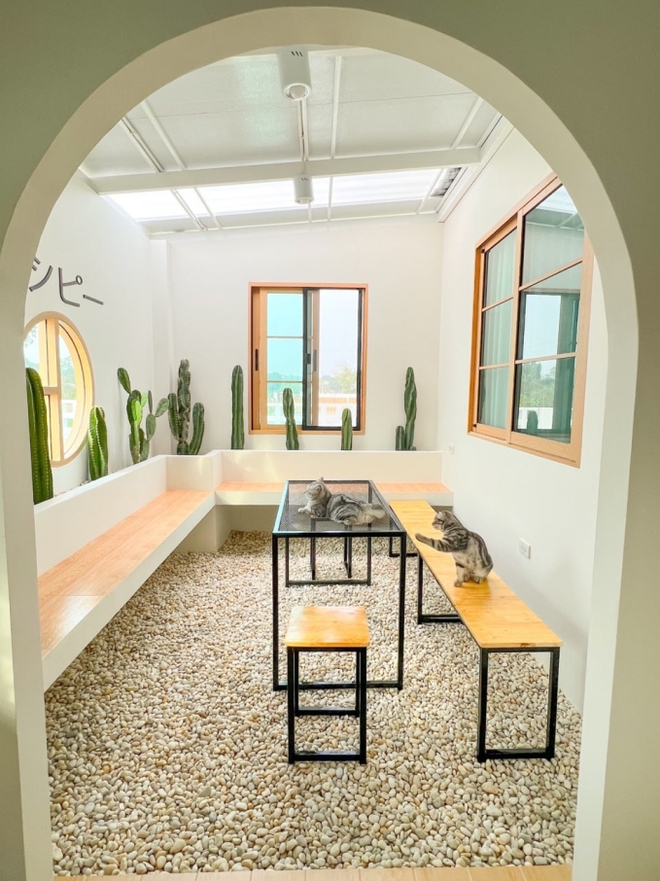 Ngôi nhà ở Thái Lan được dân mạng share điên đảo: Góc nào cũng chill, riêng sân vườn và căn bếp thì mê chữ ê kéo dài-23