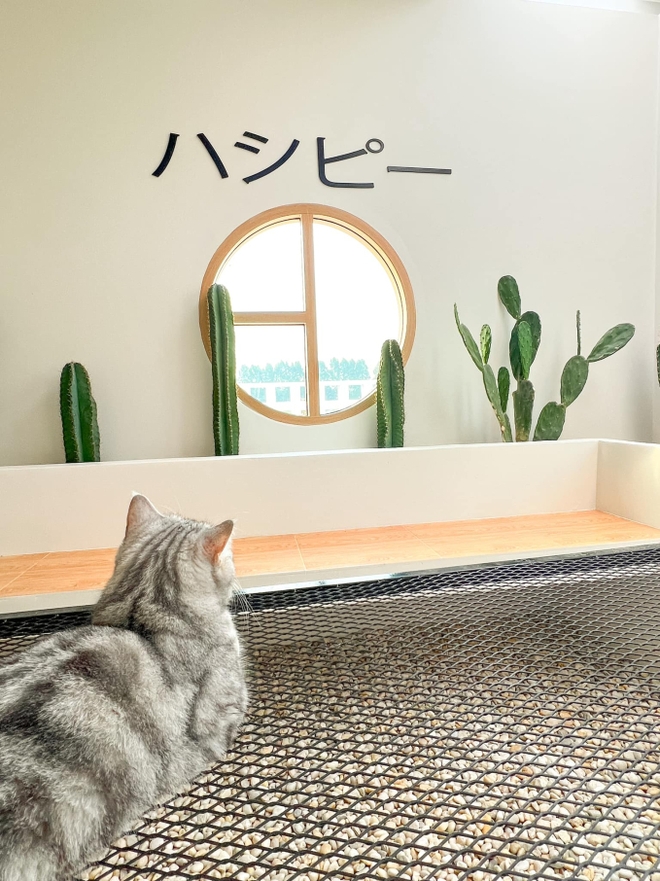 Ngôi nhà ở Thái Lan được dân mạng share điên đảo: Góc nào cũng chill, riêng sân vườn và căn bếp thì mê chữ ê kéo dài-24