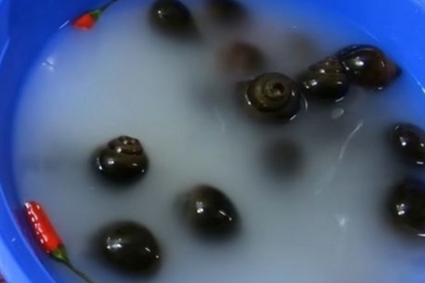 Đi chợ về thừa tấm lưới bọc hoa quả, đừng vội bỏ đi bởi nó có cực nhiều công dụng: Tiết kiệm 1 mớ tiền-10