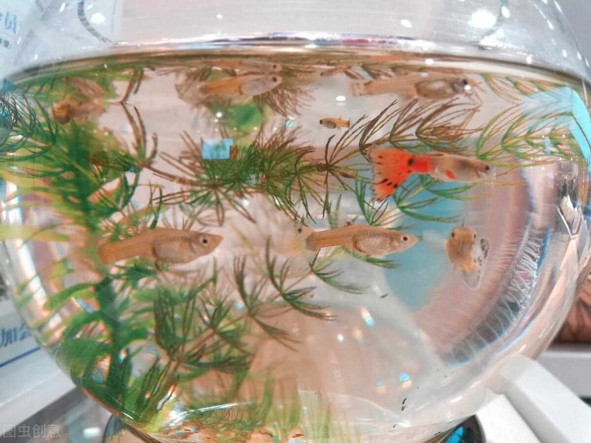 Phong thủy nhà ở: Dù nghèo cũng đừng giữ 4 thứ này, vứt đi càng sớm càng tốt-6