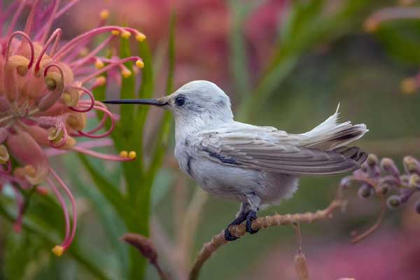 Sau Tết Hàn thực, 3 con giáp giải tỏa khó khăn, may mắn đến cùng giàu có, mở ra ngày tháng rực rỡ-4