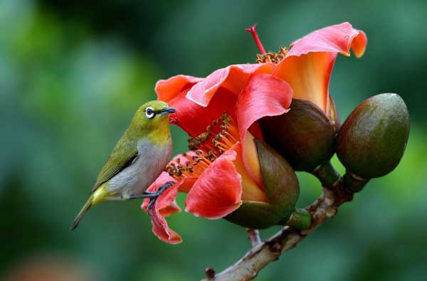 Ngoài lạnh trong nóng: 4 con giáp thiện lương, ngay thẳng, ngày càng nhiều bạn bè, thêm tài lộc-3