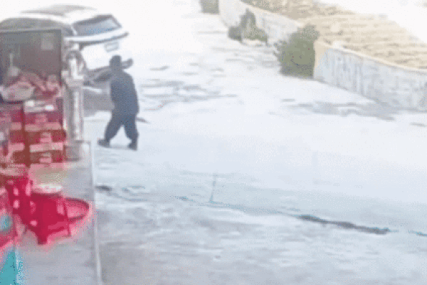 Clip: Kinh hoàng lợn rừng đuổi theo du khách để cướp đồ-1