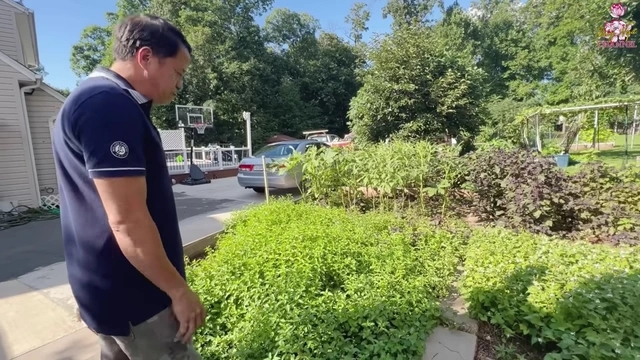 Thúy Nga muốn dọn qua biệt thự một nam danh hài ở vì quá to, đẹp, khung cảnh thì không khác gì ở Việt Nam-2