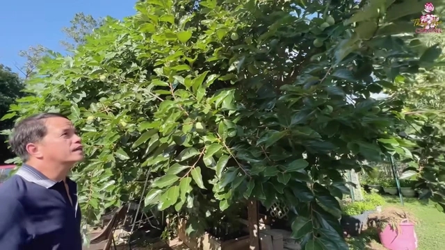 Thúy Nga muốn dọn qua biệt thự một nam danh hài ở vì quá to, đẹp, khung cảnh thì không khác gì ở Việt Nam-3
