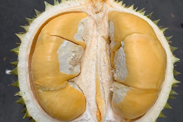 Sầu riêng Black Thorn 600.000 đồng/kg là thật hay ảo?-1