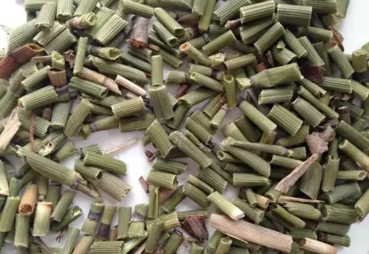 Cây dại trơ trụi không hoa, không lá, biết tận dụng có thể hái ra tiền-3