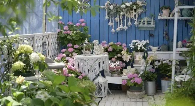 Khu vườn trên sân thượng gây sốt: Cô giáo Tiếng Anh khẳng định không sai lầm khi chi tiền tỷ mua nhà mặt đất để có khuôn viên trồng hoa-1