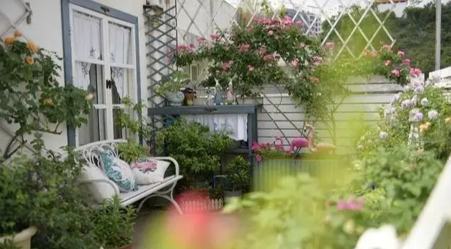 Khu vườn trên sân thượng gây sốt: Cô giáo Tiếng Anh khẳng định không sai lầm khi chi tiền tỷ mua nhà mặt đất để có khuôn viên trồng hoa-2