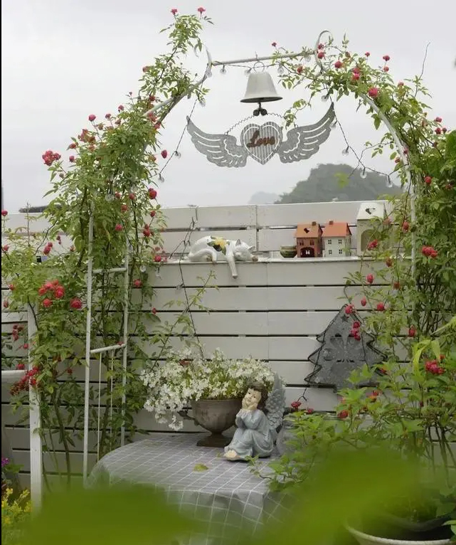 Khu vườn trên sân thượng gây sốt: Cô giáo Tiếng Anh khẳng định không sai lầm khi chi tiền tỷ mua nhà mặt đất để có khuôn viên trồng hoa-6